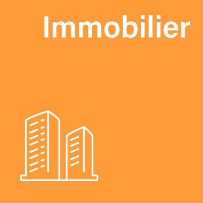 Immobilier