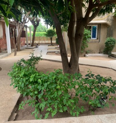 VILLA A VENDRE NIANING