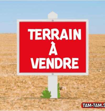 TERRAINS A VENDRE MAMELLES