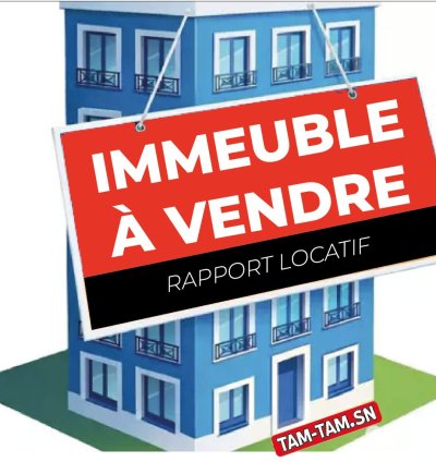 IMMEUBLE A VENDRE