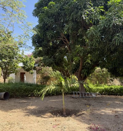 Affaire  exceptionnelle , Une propriété à vendre à WARANG !!! Propriété rare et exceptionnelle à Warang : Un véritable écrin de verdure, Une opportunité unique sur un terrain de 2133 m² magnifiquement arboré