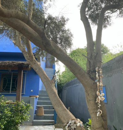 Villa à vendre à Warang – Charmante maison rénovée avec jardin arboré