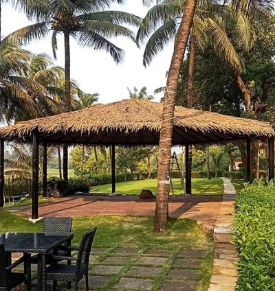 MOOREAFRICA : La Palme Synthétique la Plus Naturelle