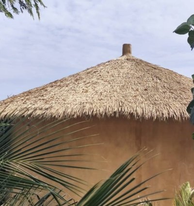 MOOREAFRICA : La Palme Synthétique la Plus Naturelle