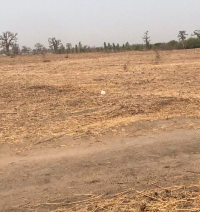 Terrain à vendre - Lac Rose (20 031 m²)