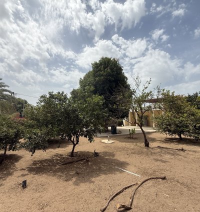 Villa de plain-pied à vendre à nianing sur un terrain de 1292 m².